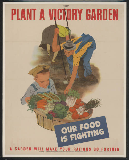 Mother and father working in a garden. A child looks at a basket of vegetables. Caption: "Plant a victory garden...our food is fighting...a garden will make your rations go further"